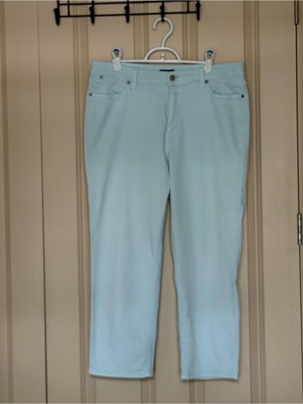 Talbots Mint Cropped Jeans - Slim Ankle Cut